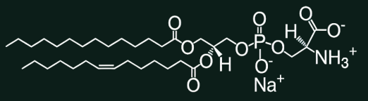 Brainefit™ Phosphatidylserine (PS)