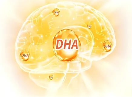 【脳健康成分シリーズ5】ドコサヘキサエン酸(DHA):脳構築のための「神経金」